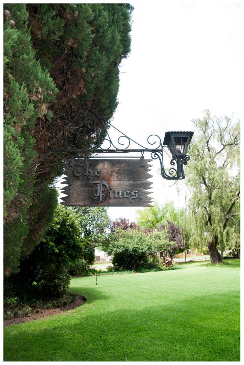 Shady Pines Guest House Harrismith Esterno foto